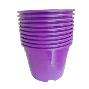 VASI DI PLASTICA VIOLA L 2, SET DA 10 PZ.