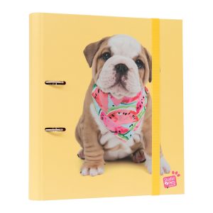 Cartella in cartone con stampa di cani da studio
