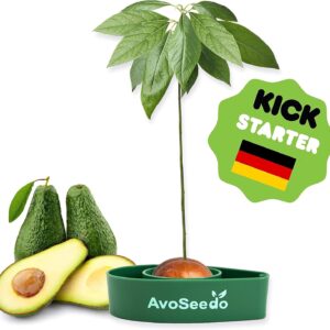 Kit regalo da Giardinaggio per Avocado (PACK DA 5 PZ)