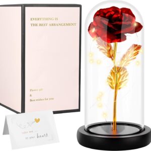 Rosa La Bella e la Bestia, regalo per anniversario, festa della mamma, San Valentino