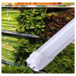 GSC Evolution 2005112 - Lampadina LED verde T8 60cm 9W 720Lm per ortaggi - monofacciale