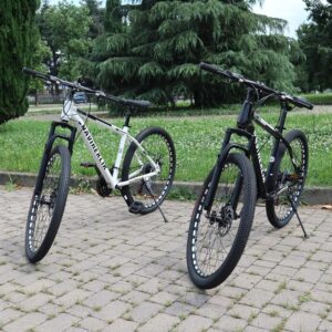 MTB