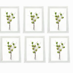Set 6 Cornici Foto in Legno Bianco Lucido 12,7 x 17,8 cm – Cornici da Tavolo o Parete con Supporto Regolabile, Design Elegante per Casa e Ufficio