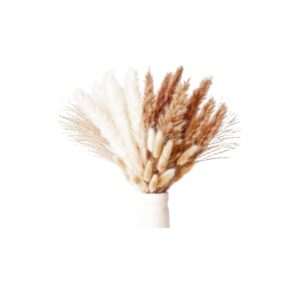 Set 50 Erbe Decorative Essiccate Naturali – Pampas Grass e Fiori Secchi Stile Boho – Decorazione per Casa, Matrimonio, Vasi e Centrotavola – Senza Manutenzione