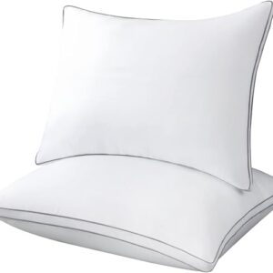 LUTE Cuscini – Set di 2 cuscini morbidi e traspiranti ipoallergenici (50 x 70, bianco-argento)