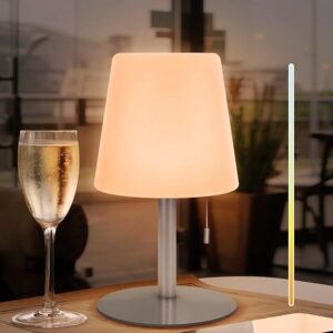Lampada da tavolo a LED per esterni, ricaricabile tramite USB, dimmerabile, luce bianca calda/fredda, impermeabile IP44, per esterni, interni, campeggio, giardino (argento)